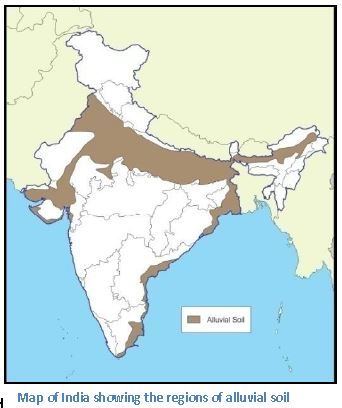 ""CBSE-Class-7-Science-Soil-Worksheet-Set-A