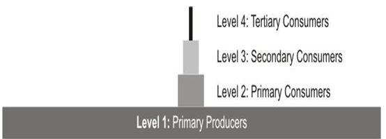 ""CBSE-Class-7-Science-Water-A-Precious-Resource-MCQs-10