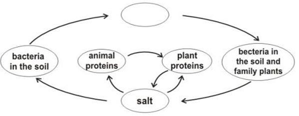 ""CBSE-Class-7-Science-Water-A-Precious-Resource-MCQs-3