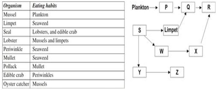 ""CBSE-Class-7-Science-Water-A-Precious-Resource-MCQs-4