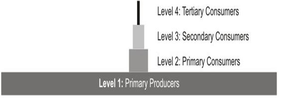 ""CBSE-Class-7-Science-Water-A-Precious-Resource-MCQs-9