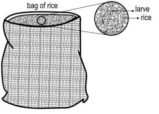 ""CBSE-Class-7-Science-Weather-Climate-and-Adaptations-Assignment-10