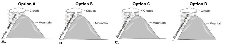 ""CBSE-Class-7-Science-Weather-Climate-and-Adaptations-Assignment-17