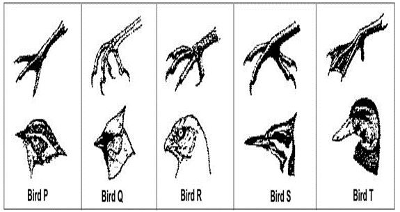 ""CBSE-Class-7-Science-Weather-Climate-and-Adaptations-Assignment-9