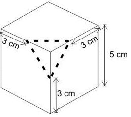 ""CBSE-Class-8-Mathematics-Mensuration-Worksheet-Set-A-6