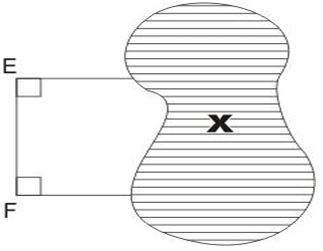 ""CBSE-Class-8-Mathematics-Understanding-Quadrilaterals-Worksheet-Set-B-6