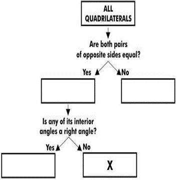 ""CBSE-Class-8-Mathematics-Understanding-Quadrilaterals-Worksheet-Set-B-8