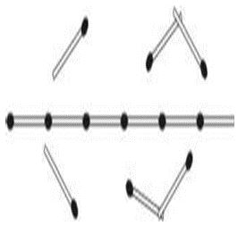 ""CBSE-Class-8-Mathematics-Understanding-Quadrilaterals-Worksheet-Set-C-10