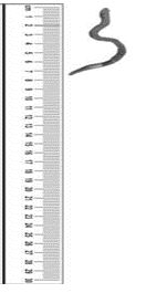 ""CBSE-Class-8-Mathematics-Understanding-Quadrilaterals-Worksheet-Set-C-11