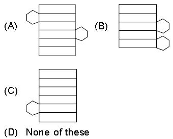 ""CBSE-Class-8-Mathematics-Visualising-Solid-Shapes-Assignment-Set-B-4