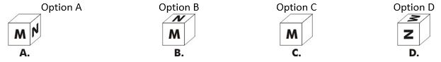 ""CBSE-Class-8-Mathematics-Visualising-Solid-Shapes-Assignment-Set-C-2