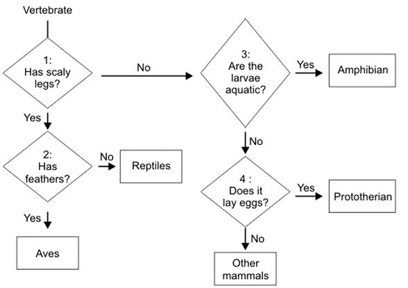 ""CBSE-Class-8-Science-Conservation-Of-Plants-And-Animals-Assignment-11