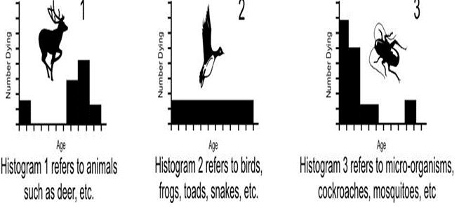 ""CBSE-Class-8-Science-Conservation-Of-Plants-And-Animals-Assignment-2