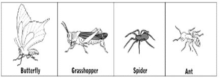 ""CBSE-Class-8-Science-Conservation-Of-Plants-And-Animals-Assignment-9