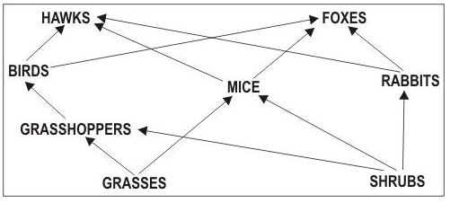 ""CBSE-Class-8-Science-Conservation-Of-Plants-And-Animals-Worksheet-1