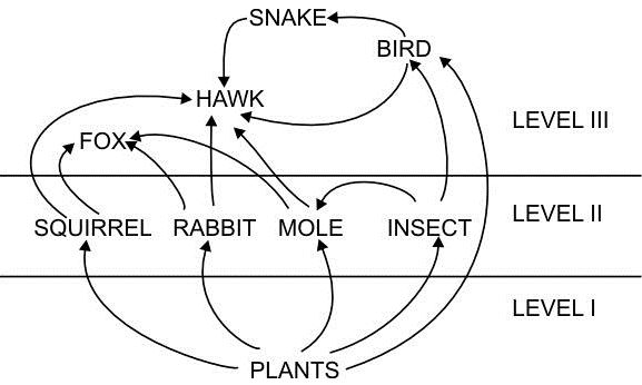 ""CBSE-Class-8-Science-Conservation-Of-Plants-And-Animals-Worksheet-3