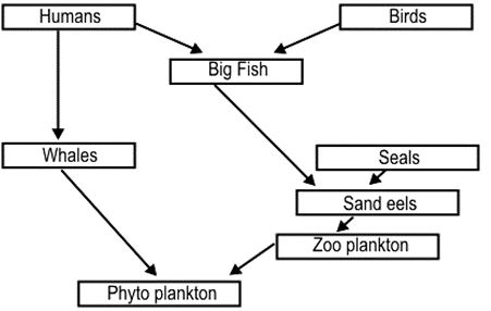 ""CBSE-Class-8-Science-Conservation-Of-Plants-And-Animals-Worksheet-4