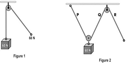 ""CBSE-Class-8-Science-Force-And-Pressure-Worksheet-1