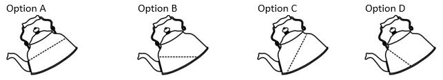 ""CBSE-Class-8-Science-Force-And-Pressure-Worksheet-10