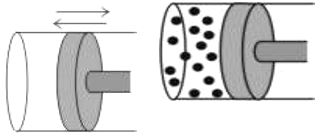 ""CBSE-Class-8-Science-Force-And-Pressure-Worksheet-2