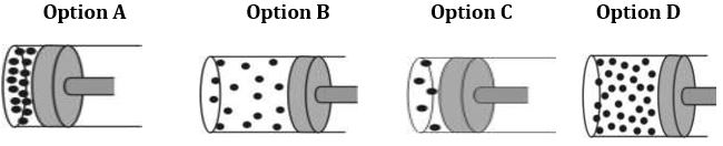 ""CBSE-Class-8-Science-Force-And-Pressure-Worksheet-3