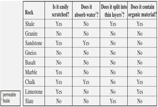 ""CBSE-Class-8-Science-Force-And-Pressure-Worksheet-6