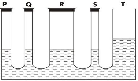 ""CBSE-Class-8-Science-Force-and-Pressure-Worksheet-Set-B-3