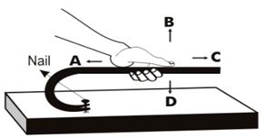 ""CBSE-Class-8-Science-Force-and-Pressure-Worksheet-Set-B-8