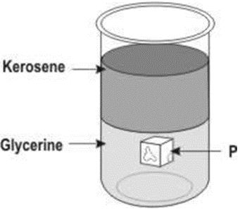 ""CBSE-Class-8-Science-Force-and-Pressure-Worksheet-Set-C-11