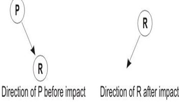 ""CBSE-Class-8-Science-Force-and-Pressure-Worksheet-Set-C-8