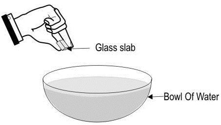 ""CBSE-Class-8-Science-Light-Worksheet-10