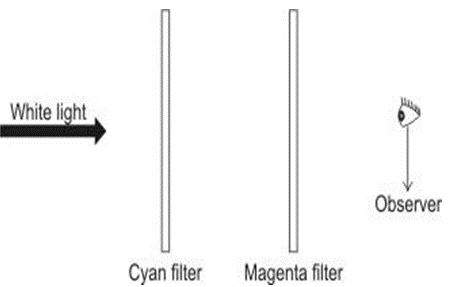 ""CBSE-Class-8-Science-Light-Worksheet-6