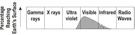 ""CBSE-Class-8-Science-Light-Worksheet