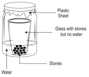 ""CBSE-Class-8-Science-Materials-Metals-and-Non-Metals-Worksheet-Set-A-1