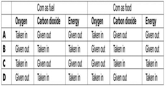 ""CBSE-Class-8-Science-Microorganisms-Friend-and-Foe-Worksheet-Set-B-1