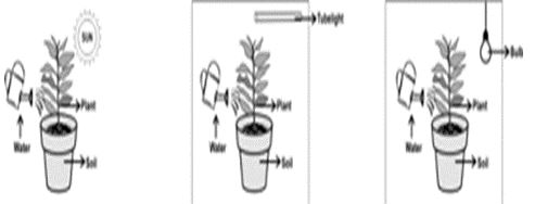 ""CBSE-Class-8-Science-Microorganisms-Friend-and-Foe-Worksheet-Set-B-2