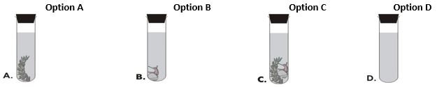 ""CBSE-Class-8-Science-Pollution-of-Air-and-Water-VBQs-3