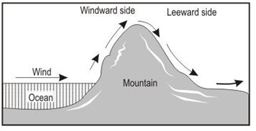 ""CBSE-Class-8-Science-Some-Natural-Phenomena-VBQs