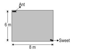 ""CBSE-Class-9-Mathematics-Surface-areas-and-Volumes-Assignment-Set-B-10