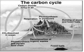 ""CBSE-Class-9-Science-Natural-Resources-Worksheet-Set-A-5