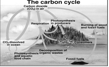 ""CBSE-Class-9-Science-Natural-Resources-Worksheet-Set-A-6