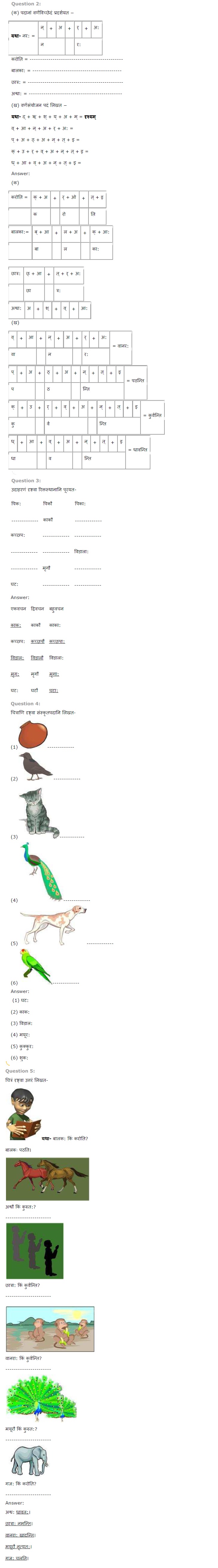 NCERT Solutions