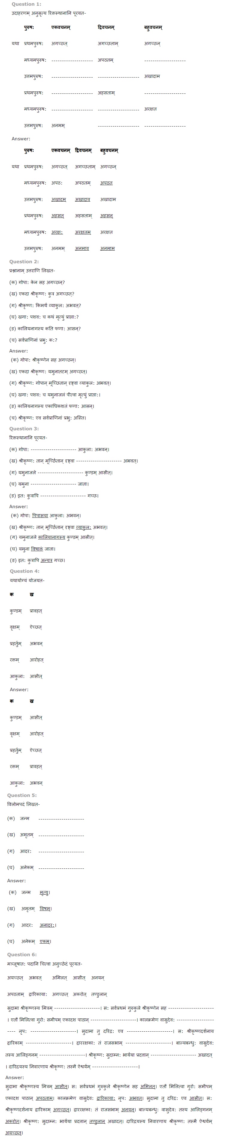 NCERT Solutions for Class 6 Sanskrit Ruchira for Chapter 14 यमुना विषरहिता जाता