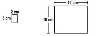 ""Class-5-Maths-Area-and-its-Boundary-Worksheet-1