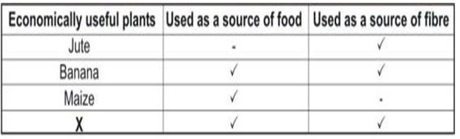 ""Class-7-Science-Nutrition-in-Animals-Exam-Notes-4