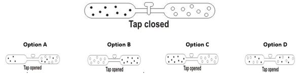 ""Class-7-Science-Physical-and-Chemical-Changes-Chapter-Notes-2