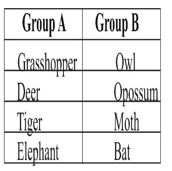 ""Class-7-Science-Physical-and-Chemical-Changes-Chapter-Notes-6