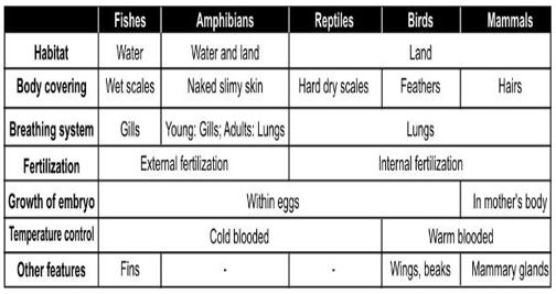 ""Class-7-Science-Physical-and-Chemical-Changes-Chapter-Notes-8