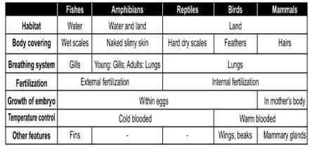 ""Class-7-Science-Physical-and-Chemical-Changes-Chapter-Notes-9