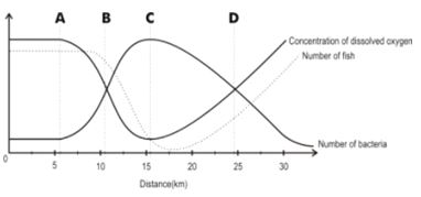 ""NCERT-Class-8-Science-Microorganisms-Friend-And-Foe